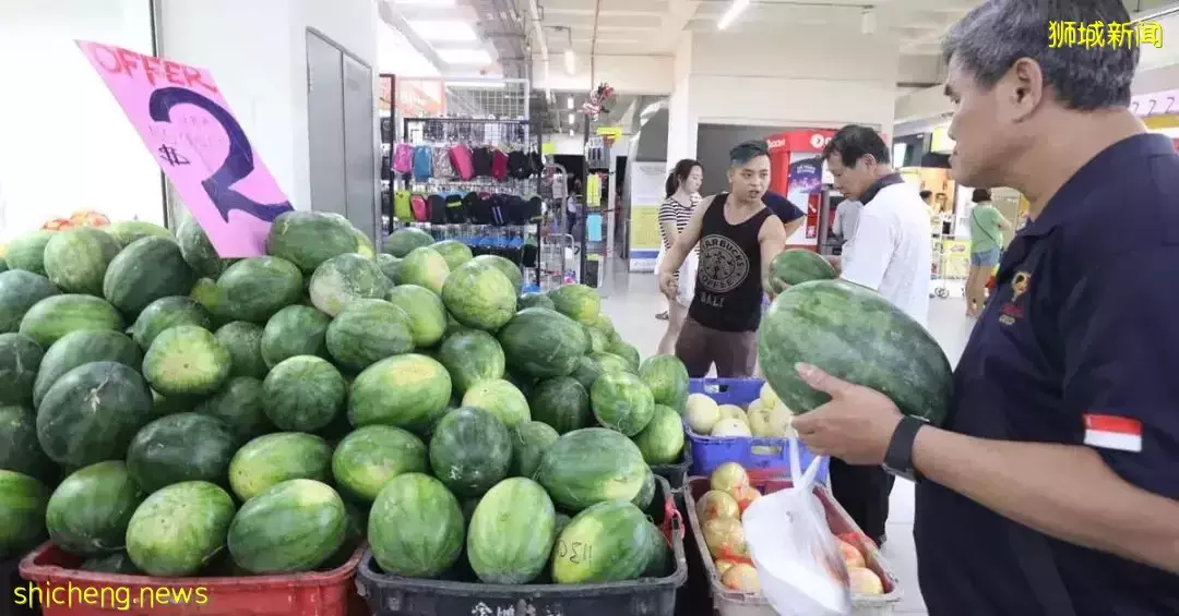 新加坡30件“合法但有病”的事！哈哈哈哈哈