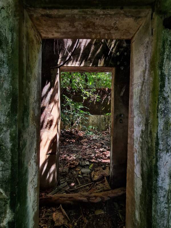 新加坡探险基地🧭 被遗弃的地堡!殖民期保留至今,岁月沧桑+攀藤弥漫的历史遗迹