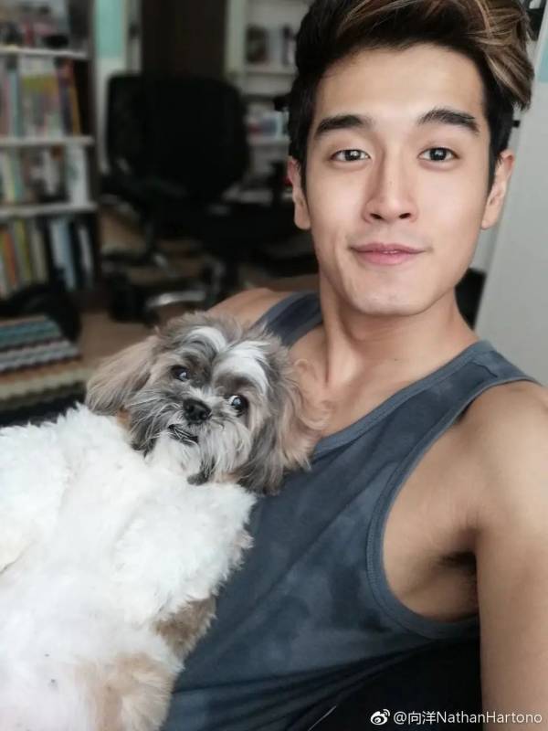 去哪里邂逅撞脸彭于晏,拜师周杰伦的坡国帅哥