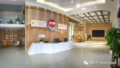 如何成功進入新加坡政府中小學 後續升學路徑解析!新加坡學曆提升必讀