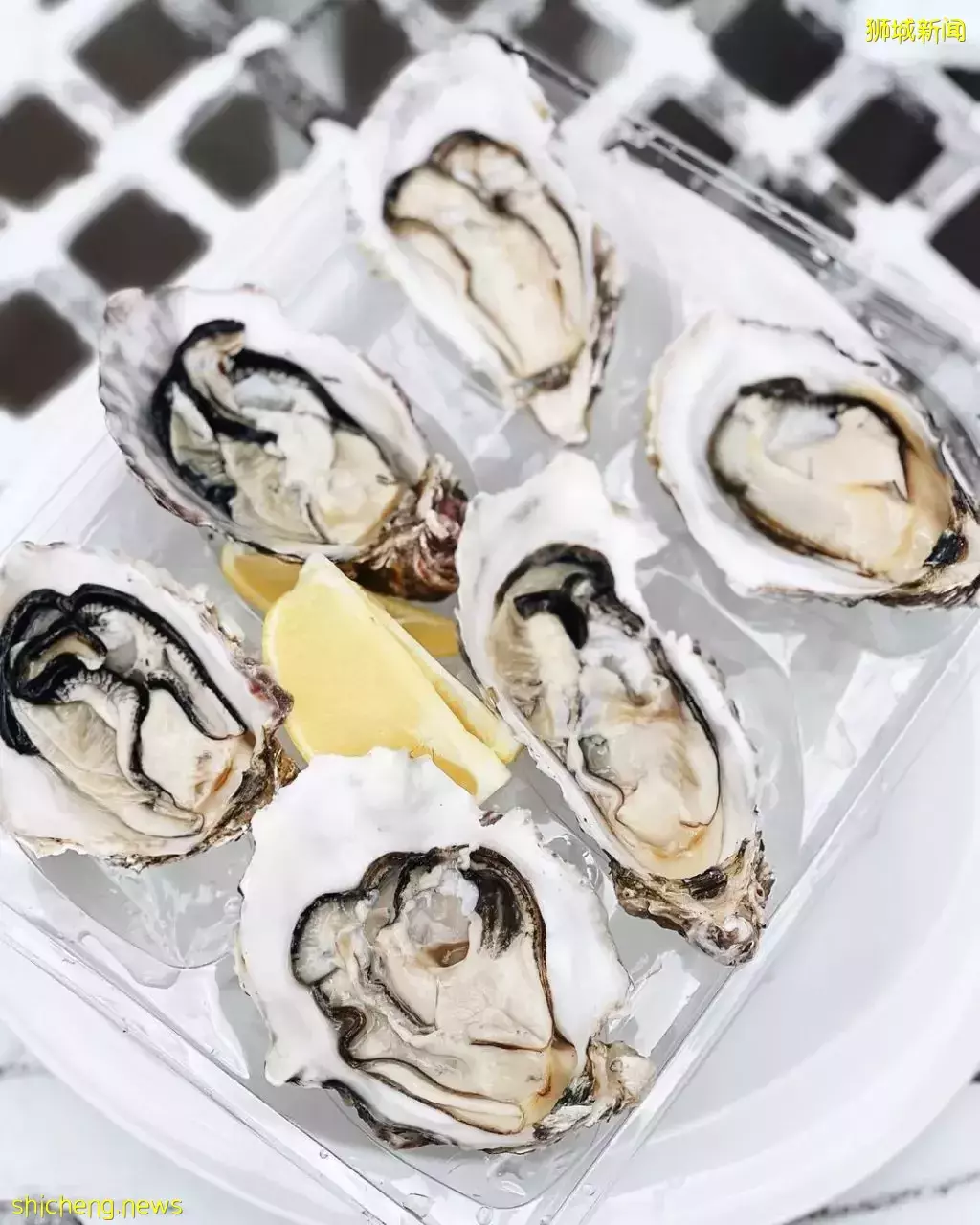 补一补了咯😌 Oyster Co生蚝一颗才S$0.99!便宜大颗超肥美,一口一个吃到爽🤤