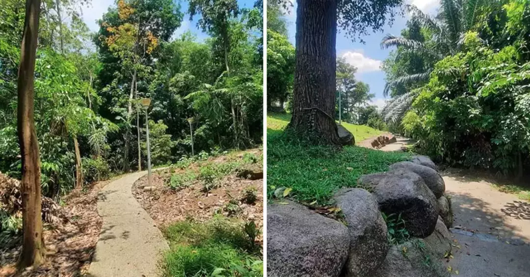 藏在组屋区里的宝藏公园,北部鲜为人知的遛娃好去处