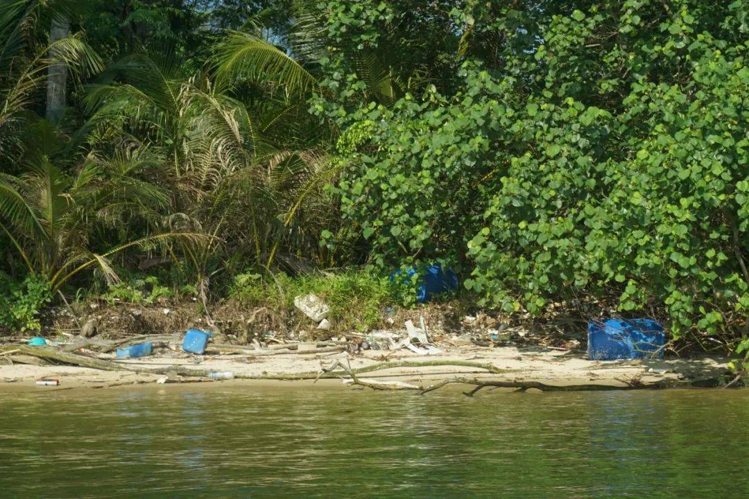 新加坡一天全島沒有清潔工，竟變成了這幅鬼樣子