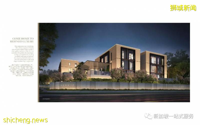 最美麗的自然風光: 新加坡植物園!