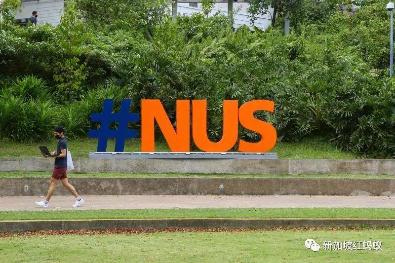 新加坡政府：性犯罪不能被輕判，休想用“高學曆”或“前途光明”當求情理由