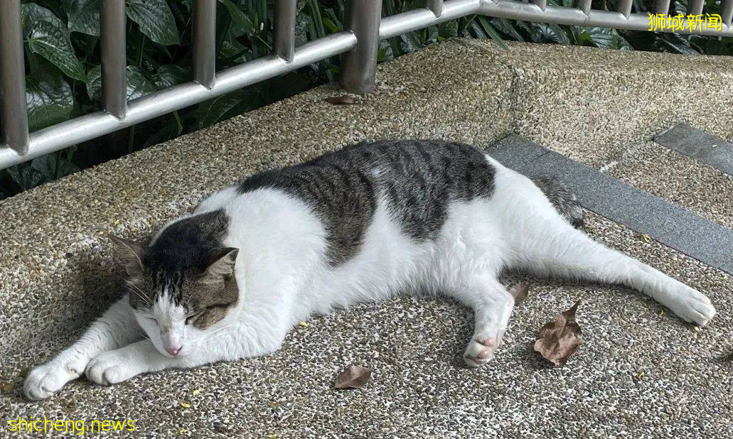 NUS校園初印象 .