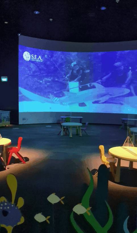 過年必玩!海洋館尋金元寶,環球影城12生肖小黃人激萌拜年