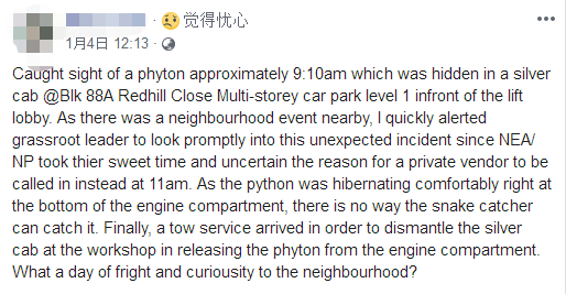 引擎盖内惊现巨蟒,新加坡车主拆车只为送走它……