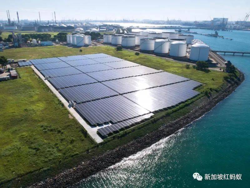 超支172萬新元?非法分租? 最新總審計署報告揭露哪些新加坡政府機構的纰漏