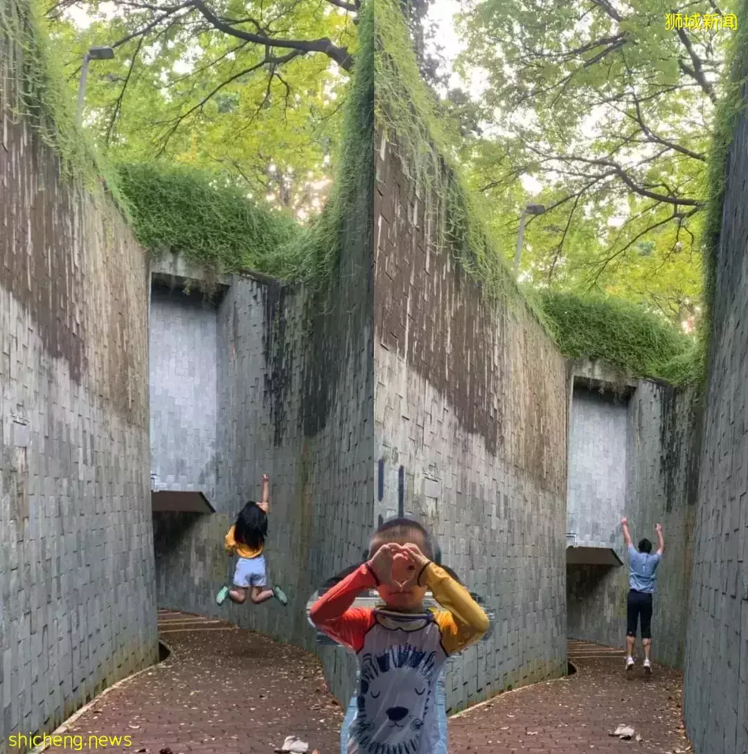 在疫情最疯狂的时候,带4岁娃留学新加坡!这个85后妈妈后悔了吗