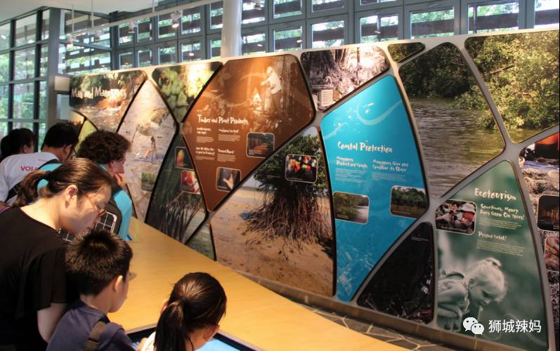 500种热带动植物免费看!超大蜥蜴、候鸟、鳄鱼,新加坡这地儿你肯定没来过