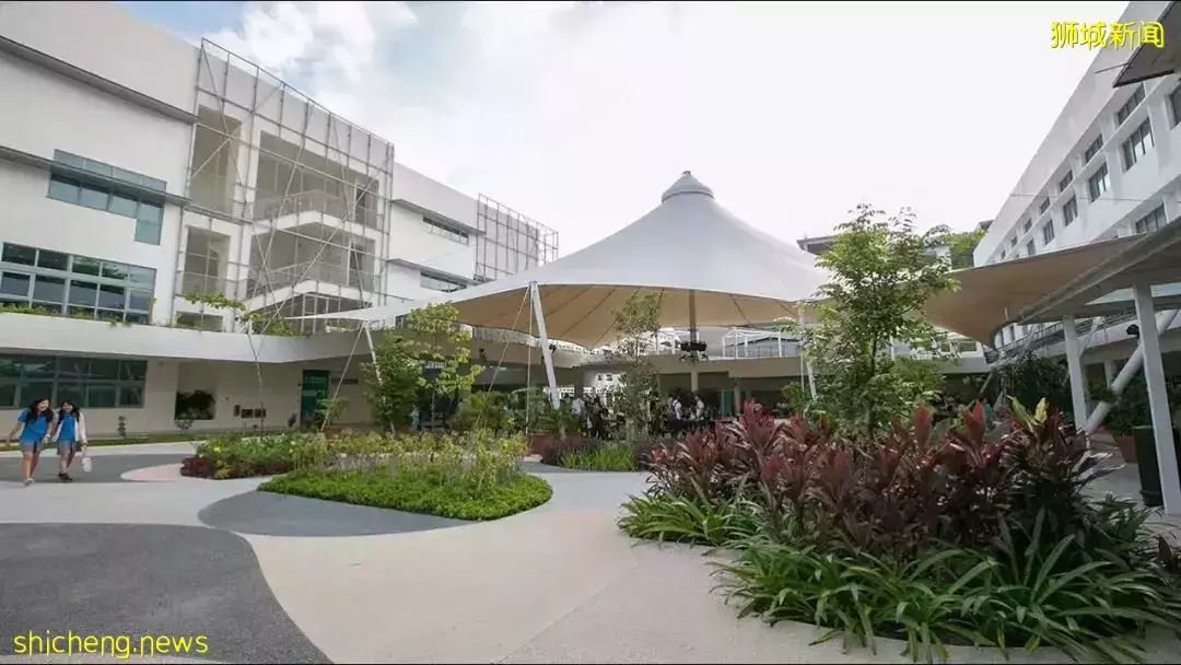 揭秘！新加坡國際學校入學考試，究竟考什麽