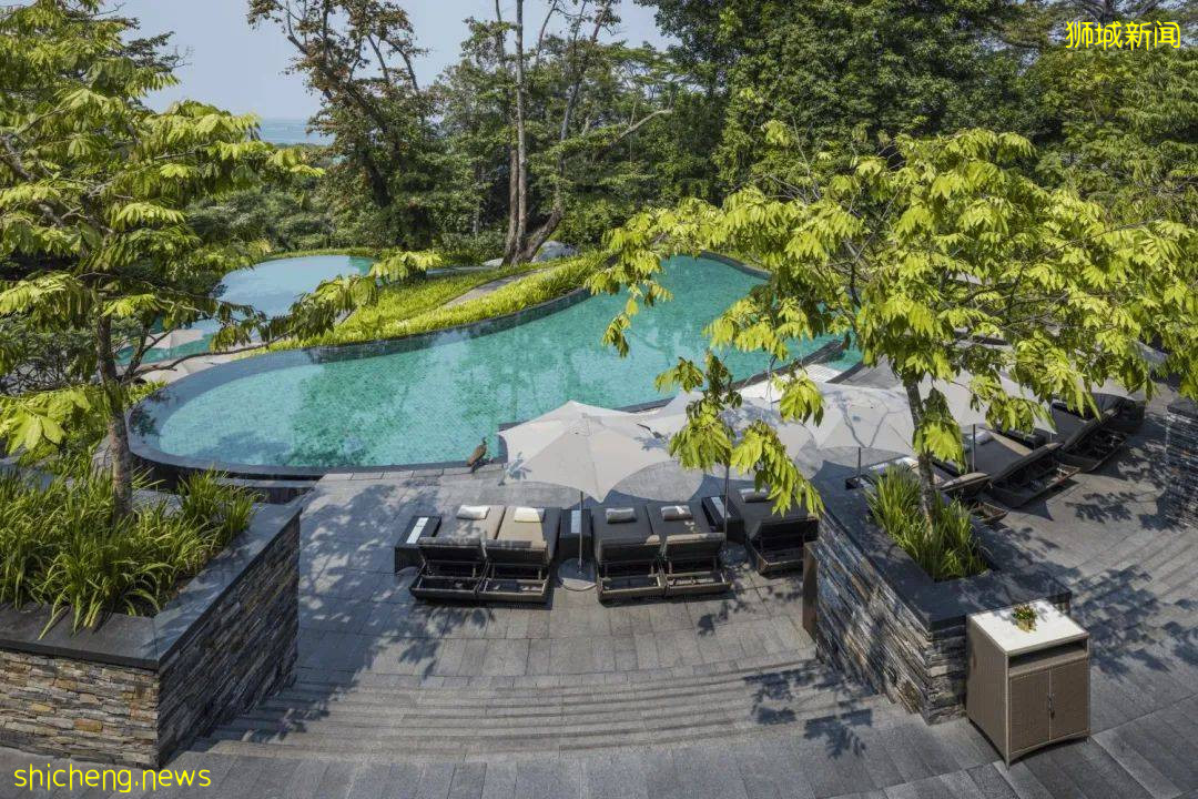 低至5折！新加坡的這些酒店終于降價了！帶娃度宅假走起