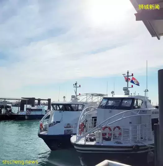 玩在狮城 长假去哪玩?浮潜、野餐、徒步!这些小众海岛等你来一一探索