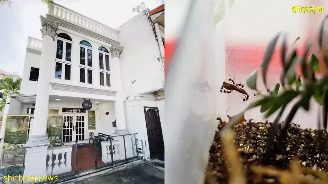 藏不住了！新加坡8個超小衆博物館，你聽說過嗎