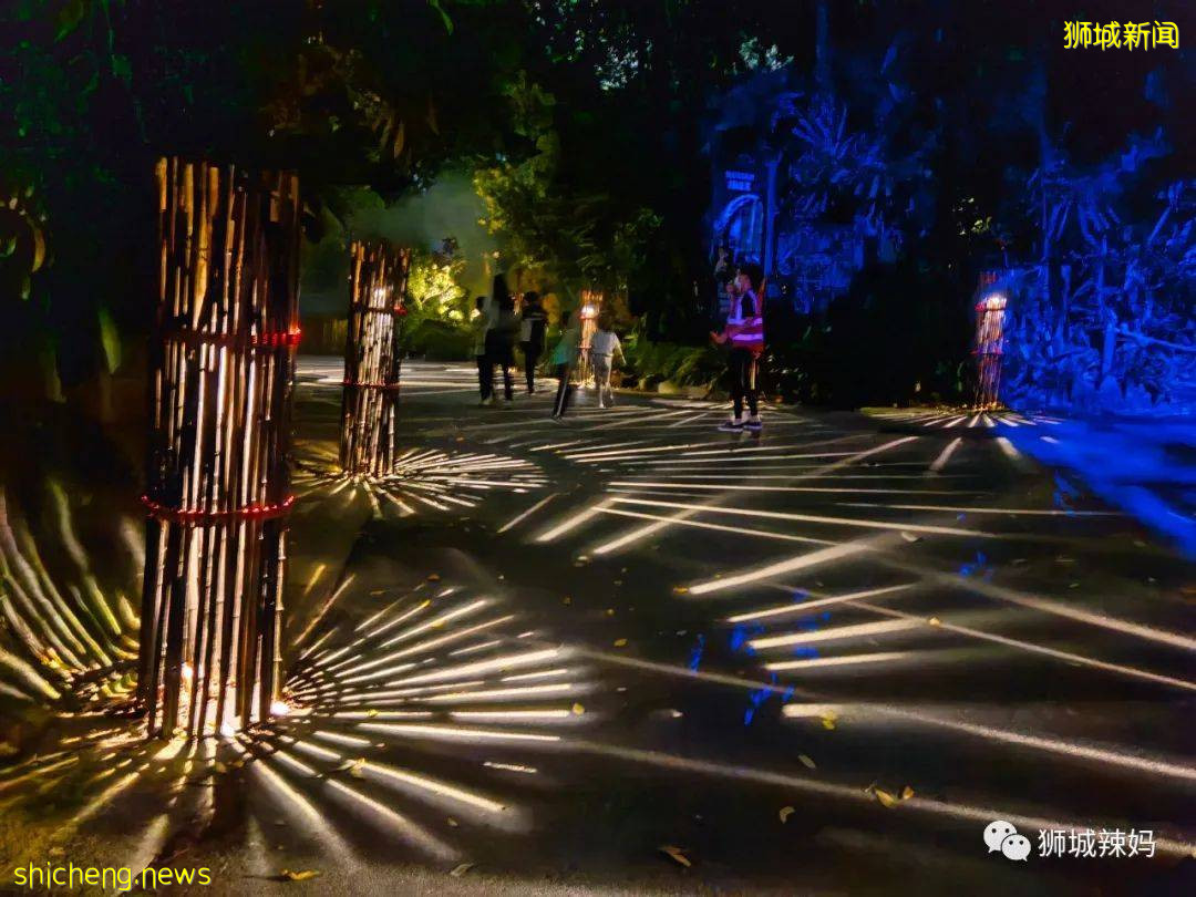 低至S$8！就3天！新加坡動物園“幻光雨林之夜”強勢回歸，亞洲第一夜遊體驗
