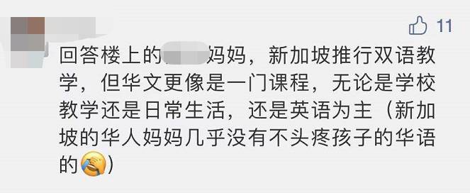 汉语v英语,从新加坡看语言教育背后的国家战略