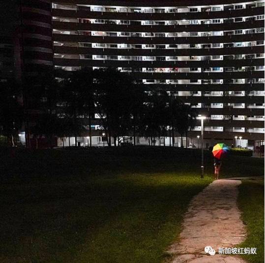 新加坡人镜头下“家的形状”是什么? 答案就在2500多张照片里