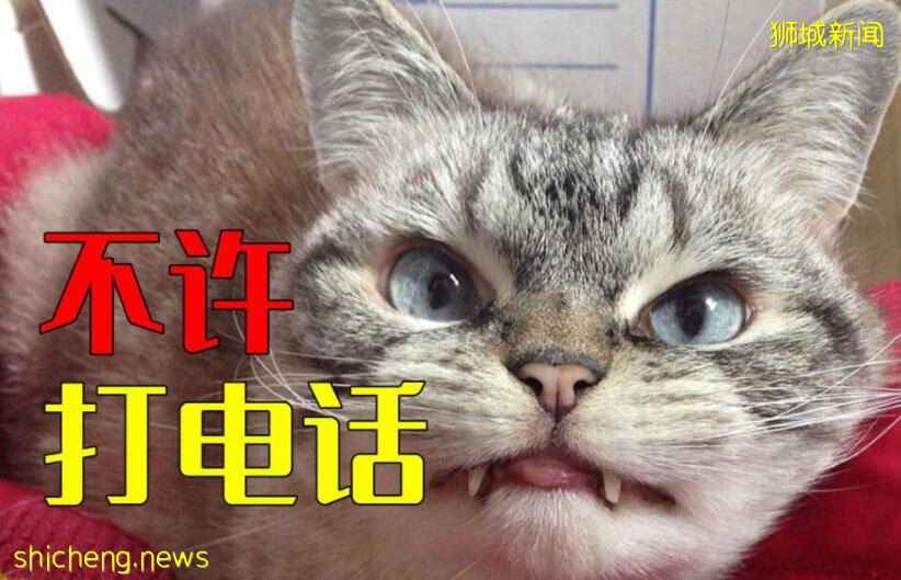 新加坡一对老男女网上打着民主幌子:鼓动打爆防疫热线