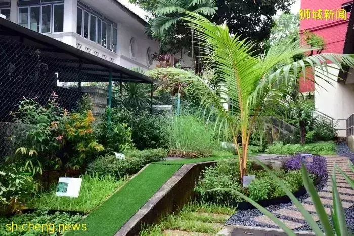 2022新生入學考試啓動!新加坡三育中小學,無需參與AEIS也能順利入學新加坡