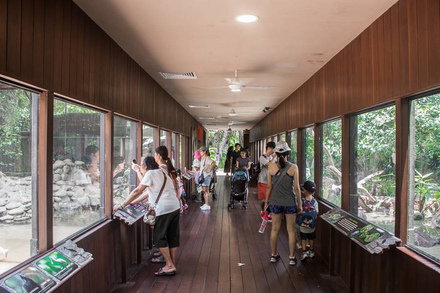 免費送票!帶倆娃嗨翻亞洲最大飛禽園,400多種5000多只鳥,一路驚喜不斷