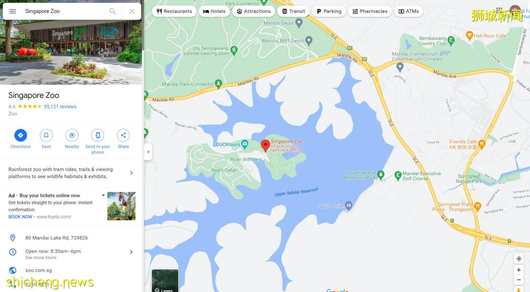 60只1:1尺寸乐高恐龙,出没新加坡动物园