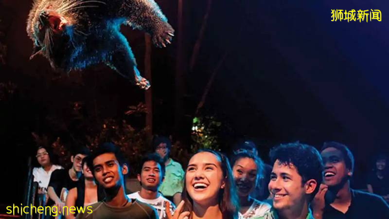 帶孩子去新加坡旅遊,哪些地方值得一去呢!