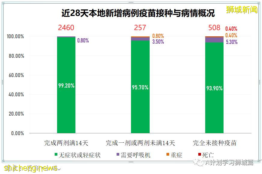 9月8日，新加坡疫情：新增349起，其中本土347起，輸入2起；新增一學校感染群8名小四生確診