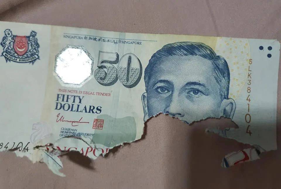 新加坡一只小倉鼠把50新幣當磨牙棒,結果
