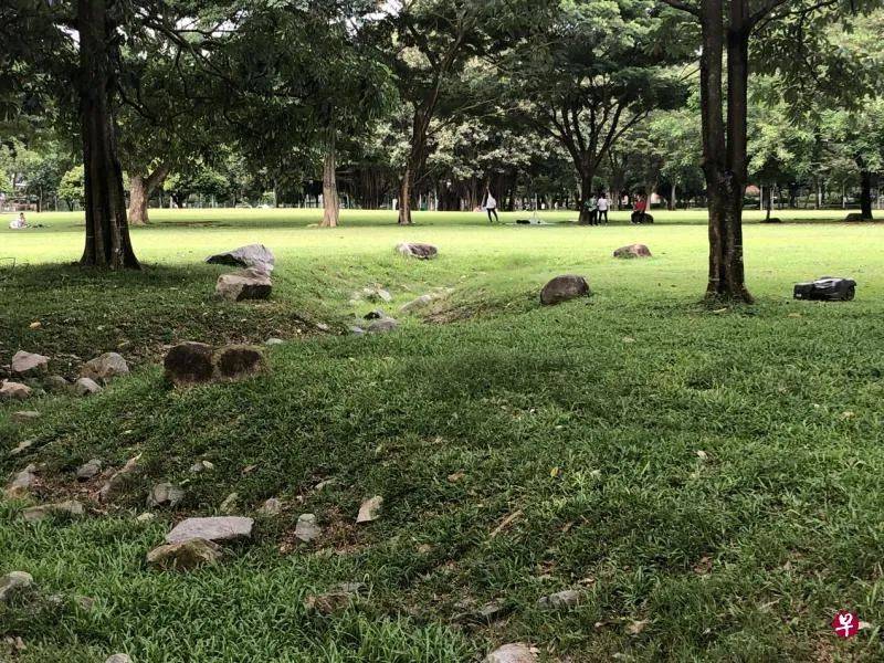 这里是新加坡最大最美的公园之一，它的前身竟然是排水沟、回收山和