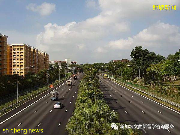 解鎖新加坡冷知識,99%的人都不知道