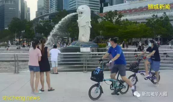 中国专家张文宏:新加坡抗疫经验,疫苗策略布局得到普遍认同