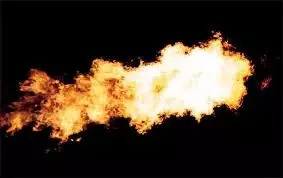 19岁新加坡理工生竟在家自制爆炸物带到公园引爆,还广而告之