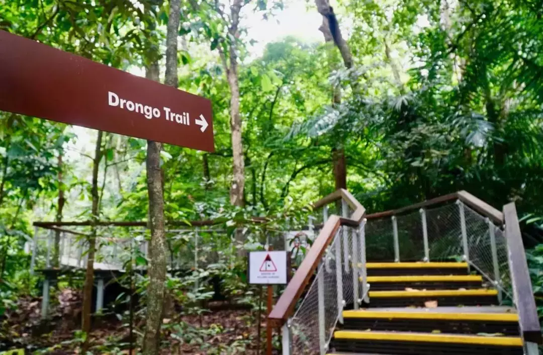 隐藏秘籍！新加坡26条远足路线：寻找长尾猕猴、红毛丹种植园，眺望最美海峡