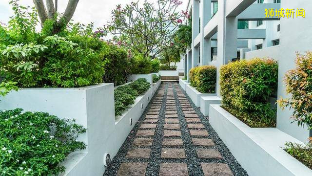 多味缤纷新加坡