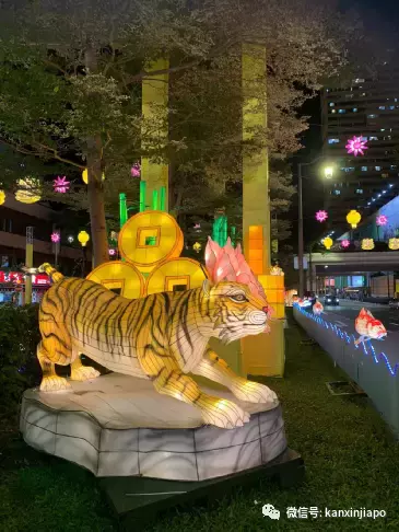 进入虎年开始倒计时,昨晚举行牛车水新年亮灯仪式