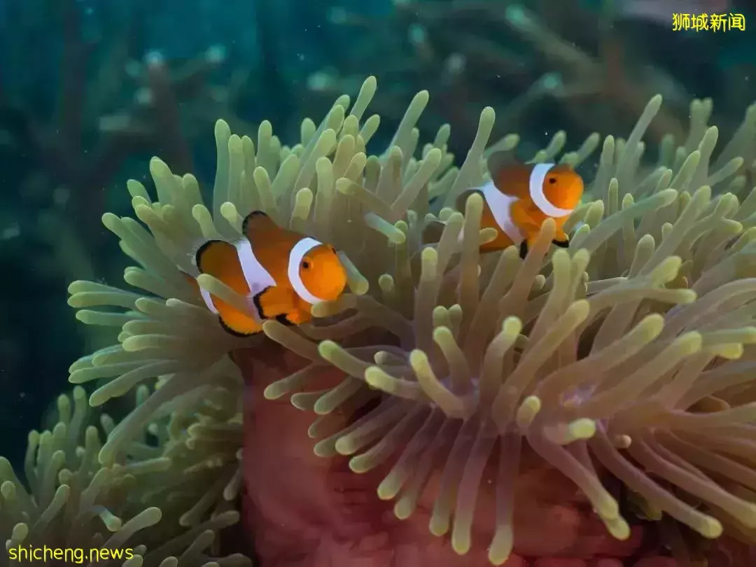 盤點最適合親子遊的20間酒店！玩得舒服，住得過瘾