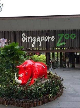 新加坡樟宜侏罗纪步道成热门景点,10月周末参观时段全被预订,11月初热门时段额满