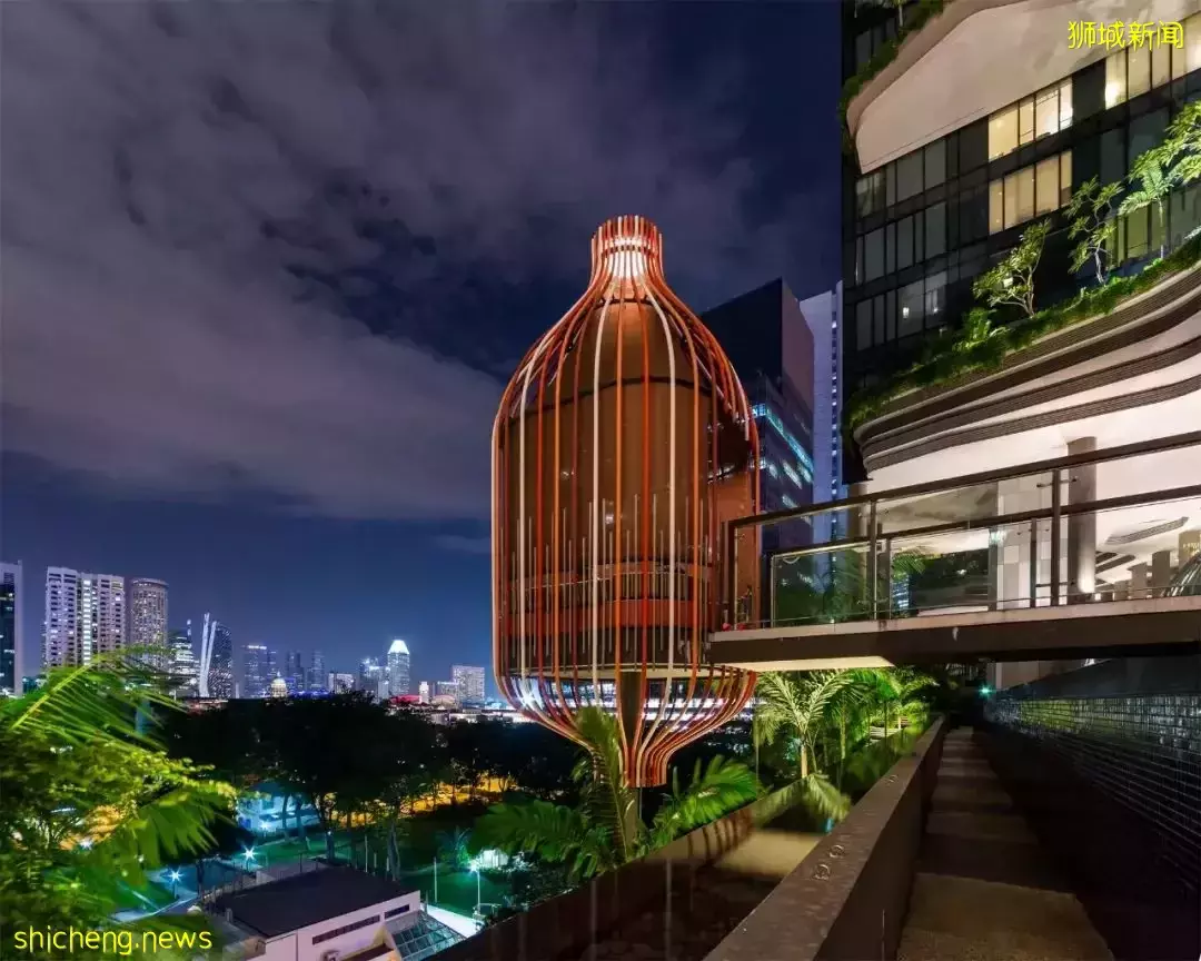 新加坡皮克林賓樂雅花園酒店 / Tierra Design (S) Pte Ltd