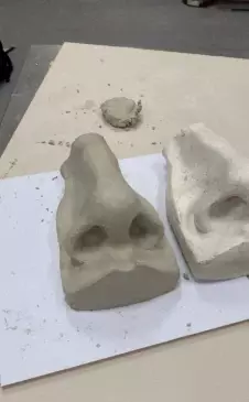 作爲NTUer的你，知道這些“真香”選修課嗎