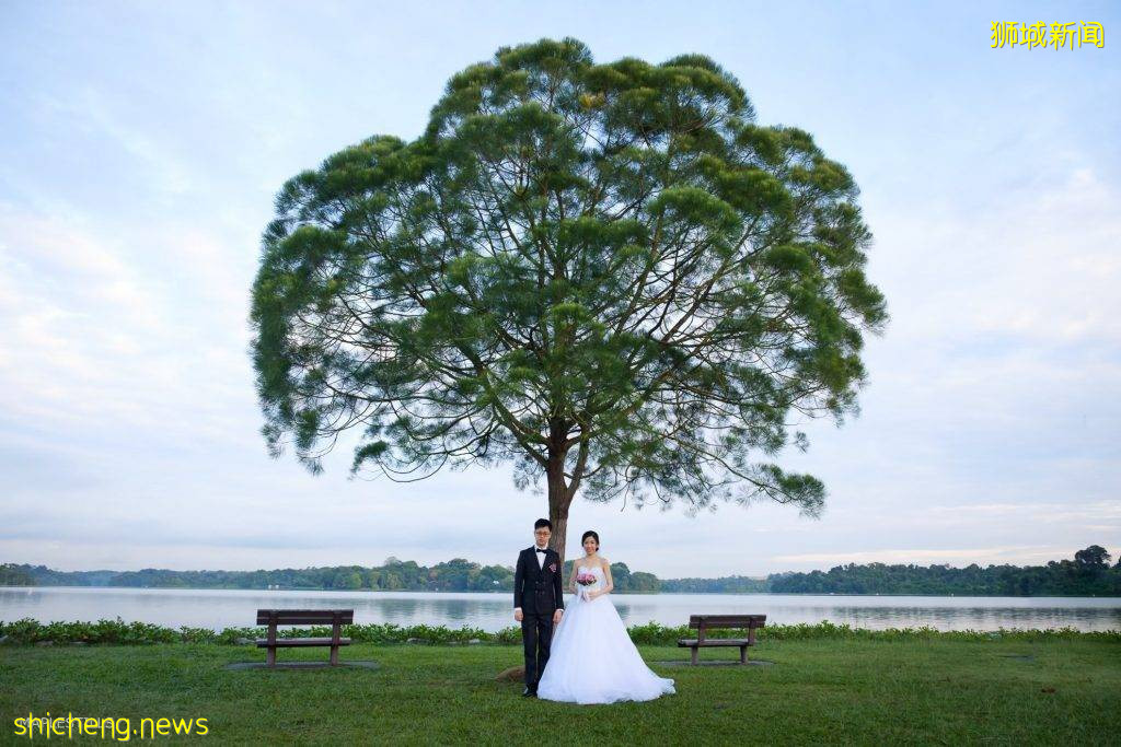 新加坡網紅樹@Upper Seletar Reservoir Park,對稱感美景,隨手一拍都是大片