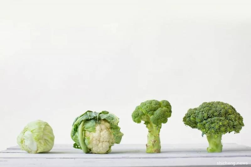 新加坡储蓄保险 投资的是安全感