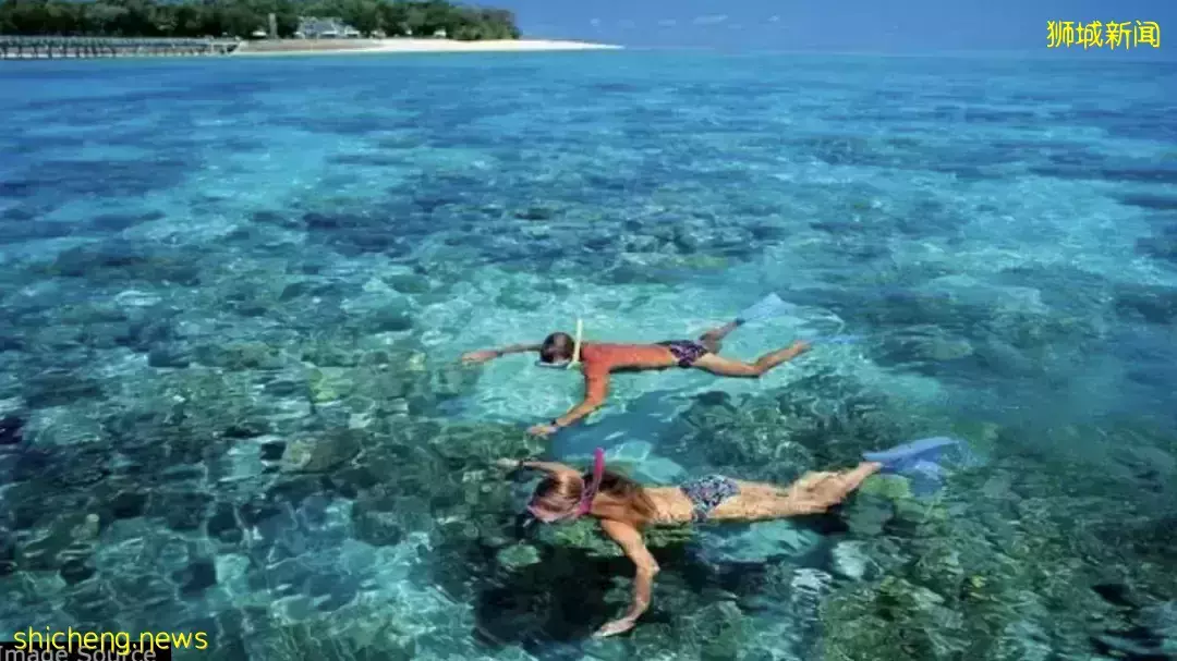 假期出遊 新加坡那些鮮爲人知的“寶藏”勝地