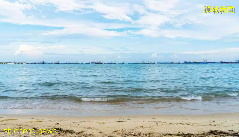 刷屏!新加坡昨天出现绝美彩虹,副总理也忍不住转发!