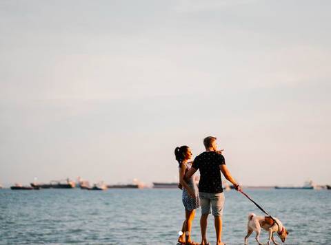 擁抱情人節到來之際,小藍爲你盤點坡島浪漫&性價比最高的拍拖勝地