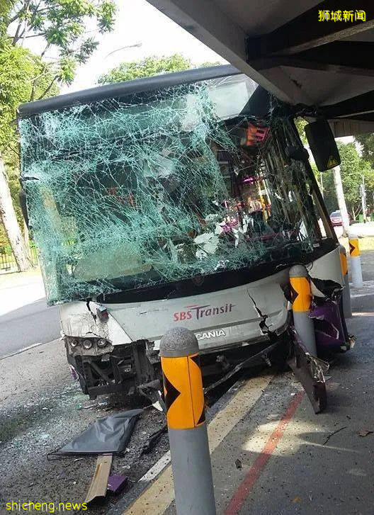 突发!新加坡一巴士从高处摔下,90度翻车窗户全碎!14人被紧急送往医院