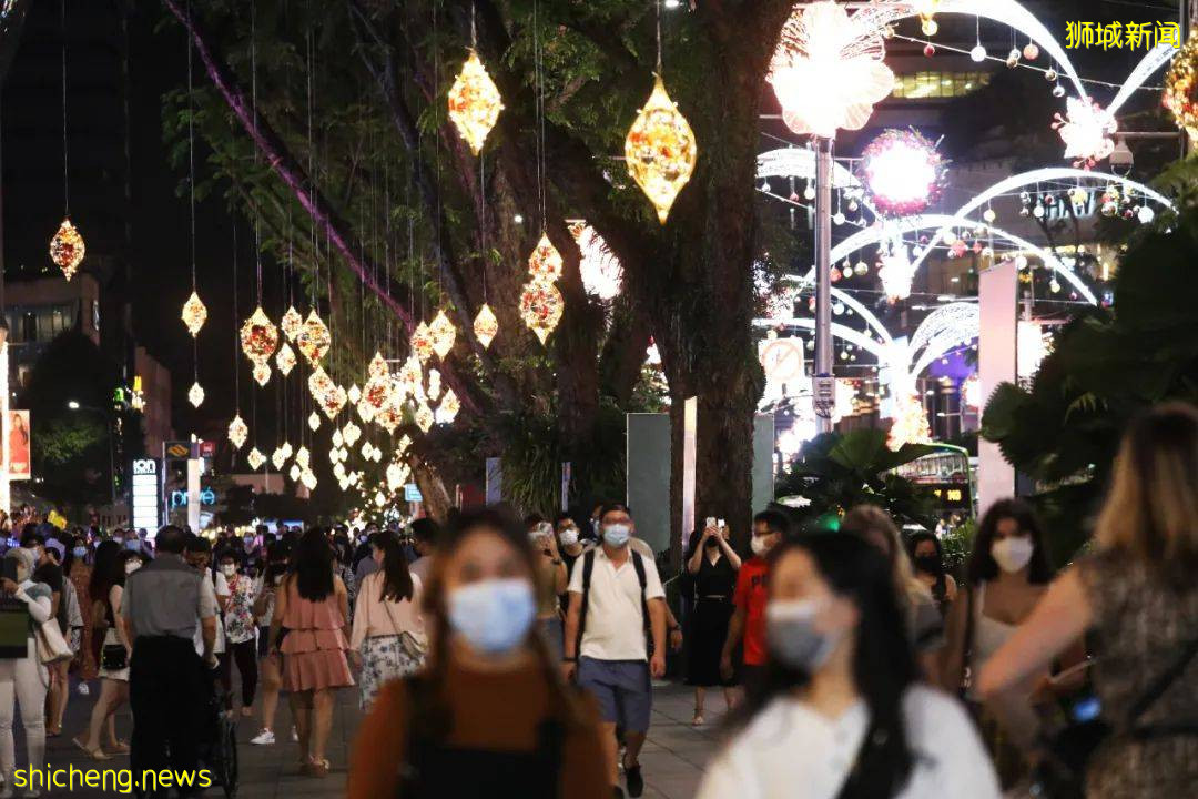 “花開聖誕”亮燈，新加坡烏節路顔值飙升