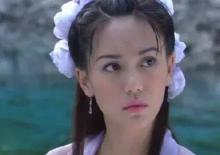 九十年代新加坡電視劇中美女如雲,如今她們境遇如何