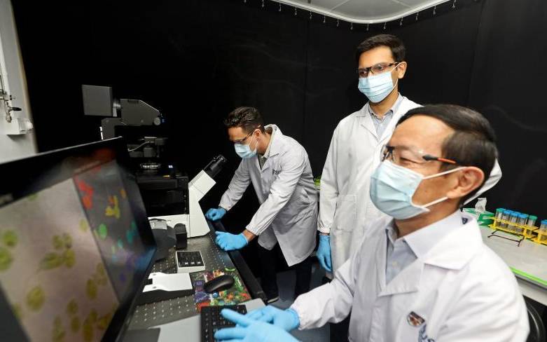 新加坡國大研發出新技術,可利用人工智能辨別癌細胞