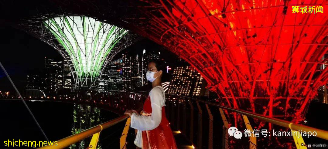 新加坡親子好去處！濱海灣～花穹～雲霧森林～空中步道半日遊